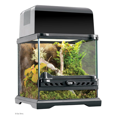 Terrarium Nano