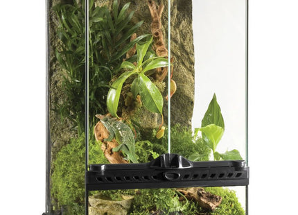 Terrarium Mini