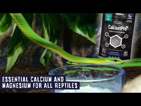 CalciumPro Mg