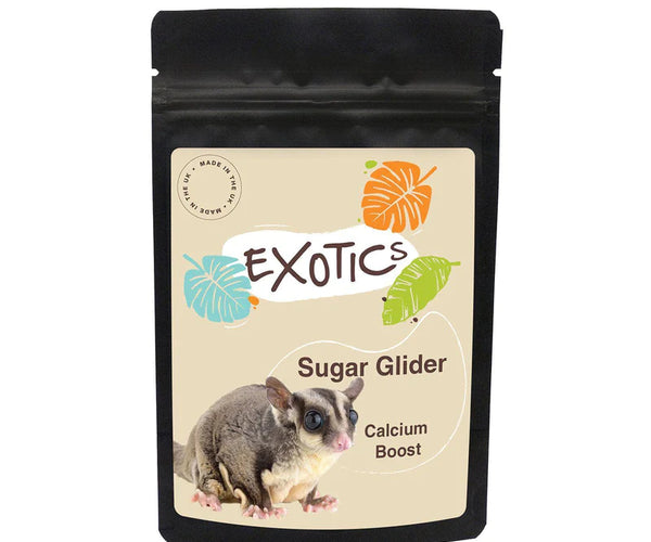 Sugar glider calcium powder top