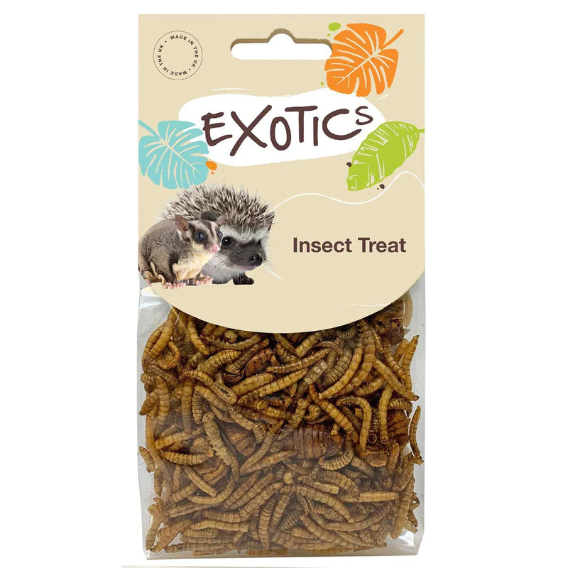 Exotics Insect Treat